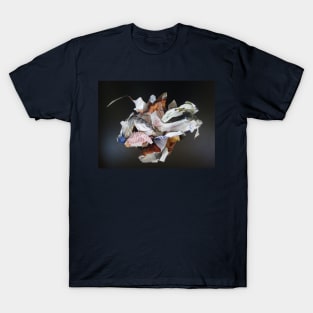 cosmodromic art - 20 T-Shirt